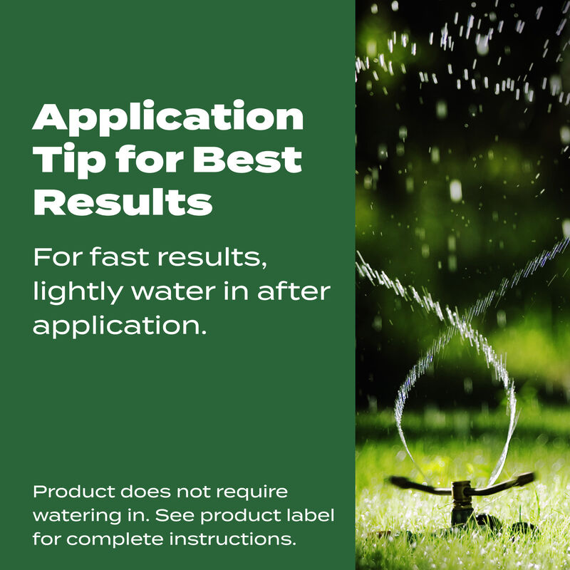 Scotts&reg; Turf Builder&reg; Lawn Food image number null